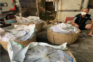 Giám đốc thẩm hủy án vì tòa xử quá nhẹ