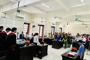 Từ vụ cô giáo Dung: Hiểu sao cho đúng về tình tiết thành khẩn khai báo, ăn năn hối cải?