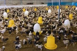 Xử lý nghiêm buôn lậu, vận chuyển trái phép động vật