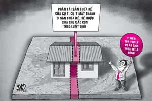 VKSND Tối cao rút kinh nghiệm một vụ án chia thừa kế