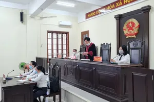 Trong 6 tháng, cả nước có 9 trường hợp đình chỉ điều tra bị can do không phạm tội