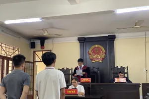 Trả hồ sơ lần 4 vụ làm giả văn bằng, chứng chỉ ở quận 12, TP.HCM