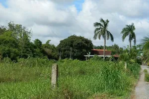 VKSND Tối cao rút kinh nghiệm vụ án bồi thường đất không có căn cứ