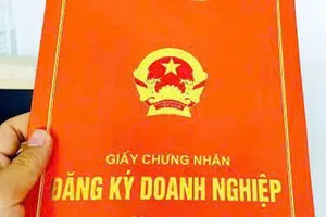 Kiện hủy giấy chứng nhận đăng ký doanh nghiệp vì hồ sơ giả mạo