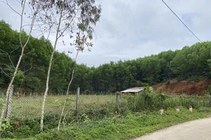 Rút kinh nghiệm vụ án tranh chấp chia thừa kế quyền sử dụng đất 