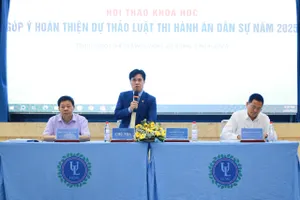 Có nên giao cho tòa án ra quyết định thi hành án dân sự?