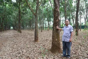 Giấy hợp tác làm ăn hay hợp đồng chuyển nhượng quyền sử dụng đất?