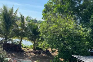 Rút kinh nghiệm cách xác định đối tượng khởi kiện trong một vụ án hành chính