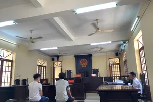 Tuyên án vụ làm giả văn bằng, chứng chỉ ở quận 12, TP.HCM