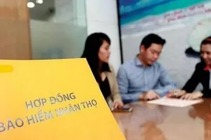 Giả làm đại lý bảo hiểm để thu phí, chiếm đoạt tiền của khách