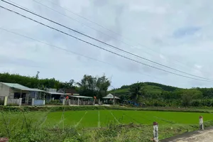 Thông báo thụ lý vụ án là căn cứ ngăn chặn chuyển dịch nhà đất?