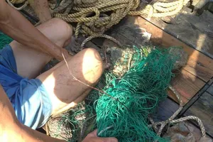 Đã bắt được cá sấu sổng chuồng bơi trên sông Xoài Rạp