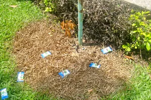 Chơi công viên, bé trai 10 tuổi bị điện giật tử vong