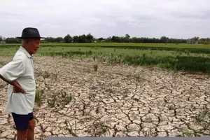 Tài nguyên đất bị khai thác kiệt quệ, tài nguyên nước thì lại lãng phí