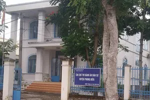 Chi cục trưởng làm thất thoát tiền tỉ đến VKS trình báo