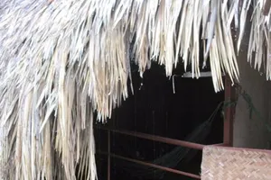 Ân ái trong cà phê chòi rồi lột nhẫn của bạn tình