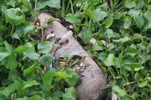 Quả bom khổng lồ nằm 'phơi mình' dưới bãi sông