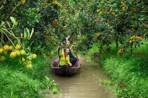 Dạo chợ nổi Phong Điền nghe tài tử, nếm ẩm thực dân dã