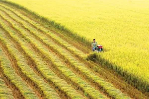  'Hội nghị Diên Hồng ĐBSCL' bàn nhiều vấn đề thiết yếu