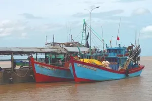 Bến Tre gọi 652 tàu cá vào bờ tránh áp thấp nhiệt đới