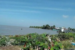 Dự báo tâm bão Tembin 'xộc thẳng' vào bán đảo Cà Mau ​