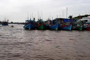 Hơn 1.000 tàu trú tránh bão tại âu thuyền Ngọc Hiển 