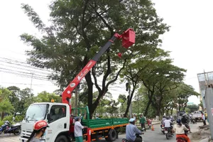 Bão số 16 đang gây mưa ở ĐBSCL 