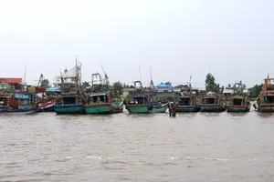 Bão Tembin suy yếu thành áp thấp nhiệt đới 