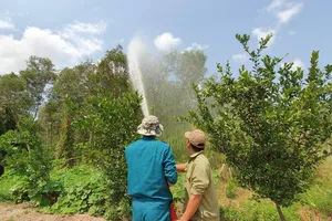 lực lượng ở Vườn Quốc gia U Minh Hạ (Cà Mau) triển khai công tác phòng chống cháy rừng- ảnh ĐẠI HẢI