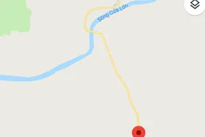 Cà Mau xuất hiện thêm một ổ dịch lở mồm long móng