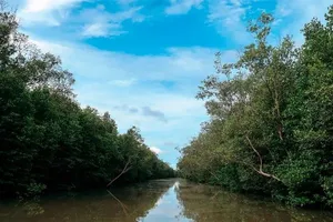 Vườn Quốc gia Mũi Cà Mau, qua đó phát hiện hàng loạt sai phạm, đặc biệt có dấu hiệu vi phạm hình sự về lập quỹ trái phép trên 3,4 tỷ đồng