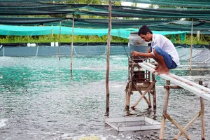 Nông sản Cà Mau không tắc nghẽn khâu nào trong dịch COVID-19