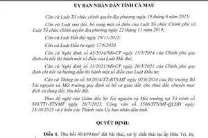 Cà Mau thu hồi đất của dự án nhà máy điện rác Plasma