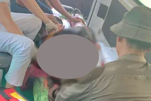 Một phụ nữ bị chấn thương sọ não, gãy hai chân do đá lăn từ núi xuống