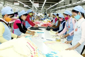 Việc tăng tuổi nghỉ hưu đối với người lao động đang được Bộ LĐ-TB&XH điều chỉnh theo lộ trình. Ảnh: PV