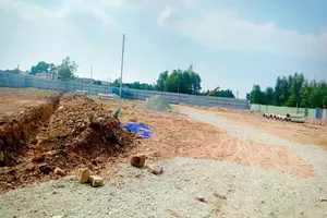 Cuối năm, cẩn trọng dự án ma giăng bẫy