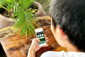 Mất tiền vì cho mã OTP qua điện thoại