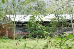 Người dân khổ sở vì trại heo bốc mùi hôi