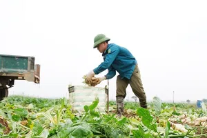 Không thể chờ giải cứu kiểu từ thiện