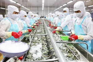 Đại gia Việt tự làm container, cạnh tranh với Trung Quốc