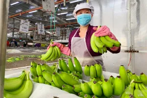 Nhà đầu tư Mỹ tiếp tục rót cả tỉ đô vào Việt Nam