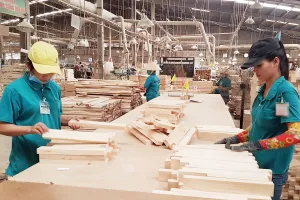 Giao thương Việt - Mỹ nhộn nhịp bất chấp dịch