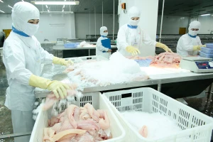 Hiến kế hạ nhiệt giá cước vận chuyển