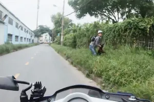 Trộm chó dùng hung khí tấn công khi bị phát hiện