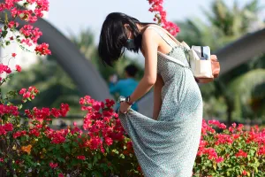 Người nào thực hiện hành vi tự ý ngắt hoa, bẻ cành cây nơi công cộng sẽ bị xử phạt đến 500.000 đồng. Ảnh:TRƯỜNG GIANG