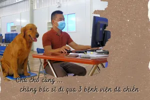 Chú chó cùng chàng bác sĩ đi qua 3 bệnh viện dã chiến