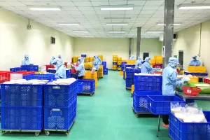 Doanh nghiệp xoay xở kìm giá tăng cao