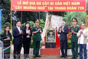 Lễ mở bia đá “Cây di sản Việt Nam” tại Trung đoàn 726. Ảnh: TTXVN