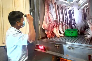 Thịt heo được kiểm tra kỹ trước khi đưa vào chợ đầu mối Hóc Môn kinh doanh. Ảnh: TRẦN NGỌC