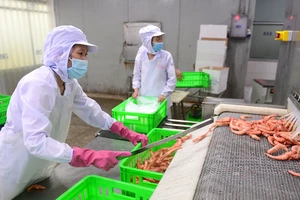 Dự thảo Luật BHXH (sửa đổi) có nhiều chính sách mới lần đầu được nghiên cứu đưa vào. Ảnh minh họa: HOÀNG GIANG